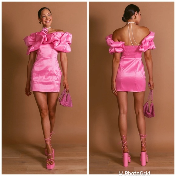 Show me your Mumu Major Drama Dress Pink Tafitta Size XS